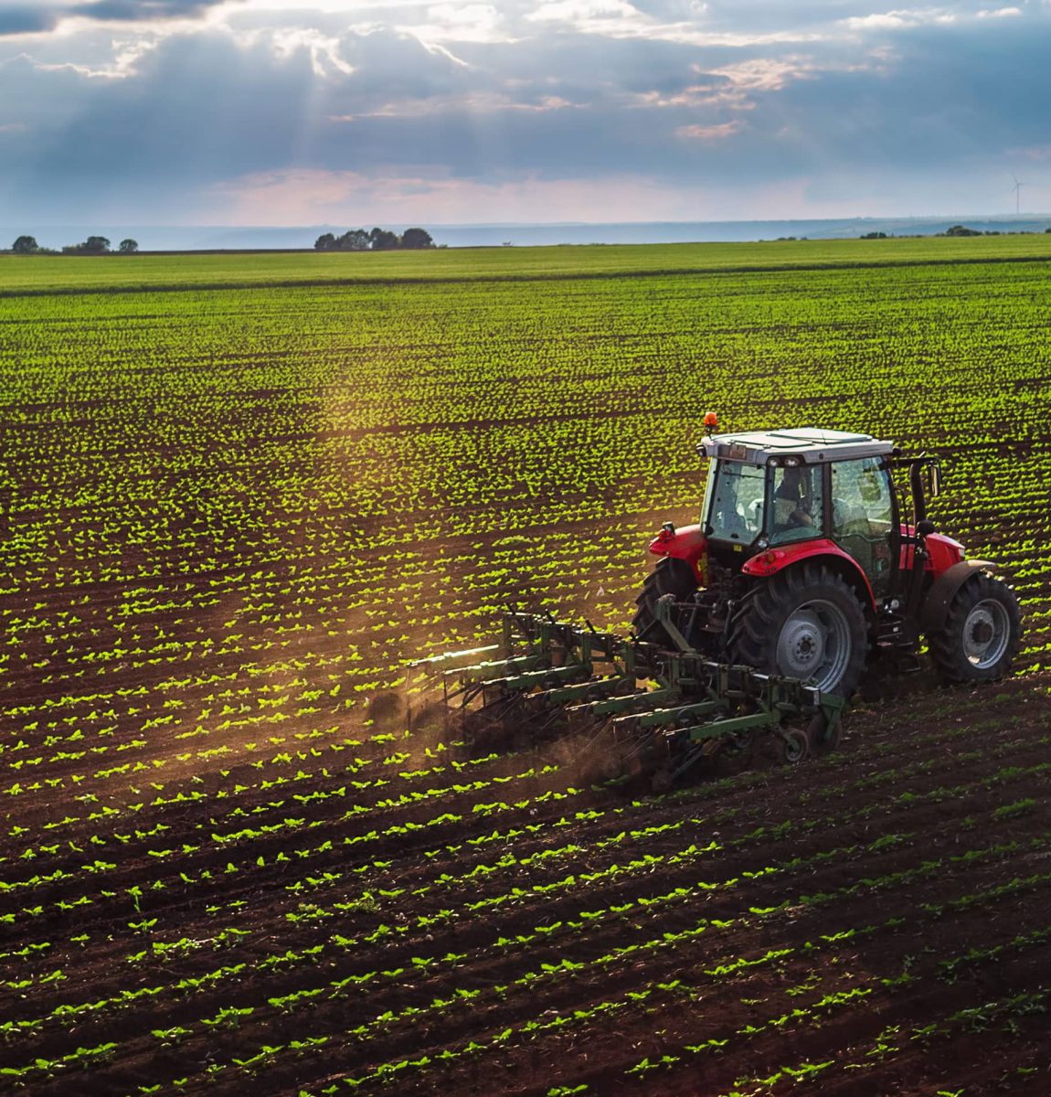 Agriculture